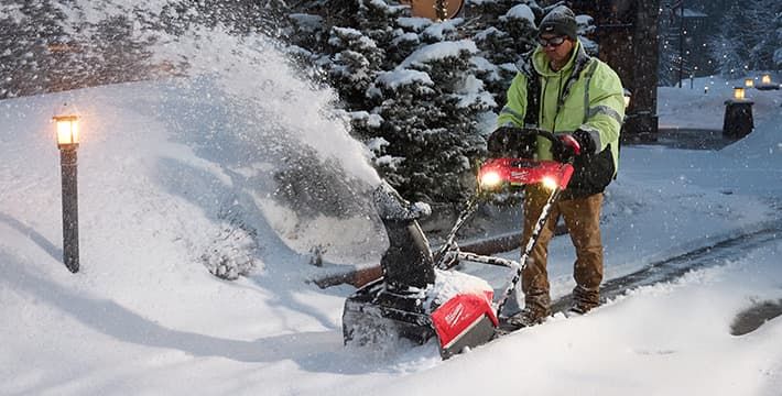 Landscaping & <br> Tree Care