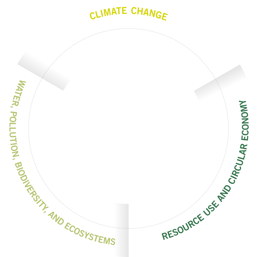 Environment Cycle