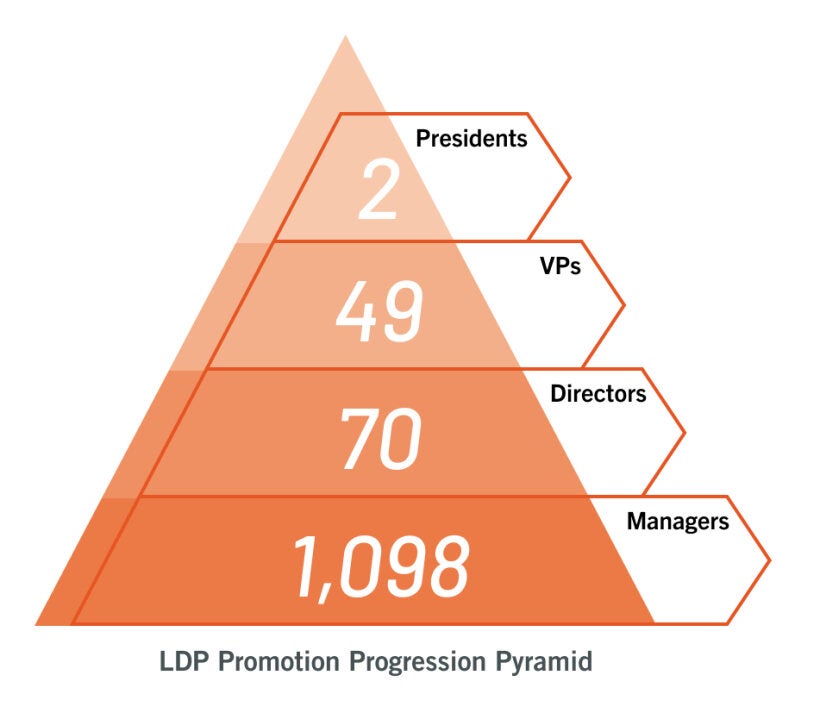 LDP Progression Pyramid